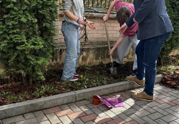 Culoarea viitorului e verde… cu parfum de trandafiri! Image