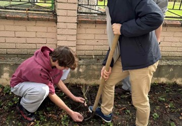 Culoarea viitorului e verde… cu parfum de trandafiri! Image