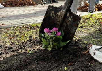 Culoarea viitorului e verde… cu parfum de trandafiri! Image