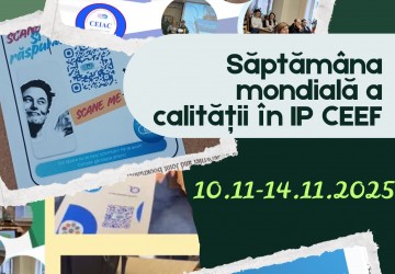 Activități curente Image