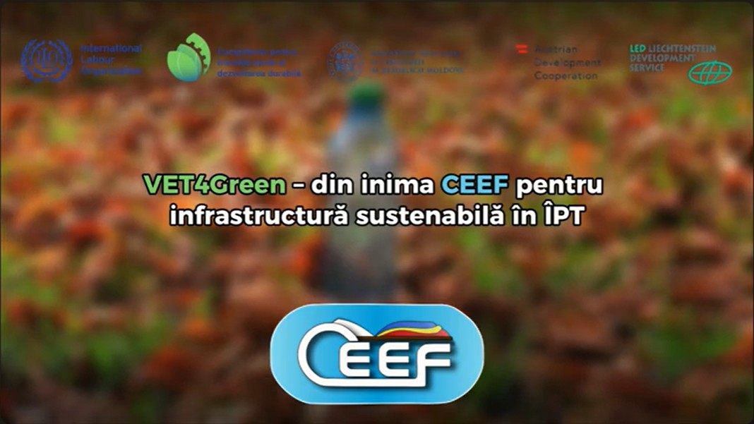 Proiectul instituțional "VET4Green" Image